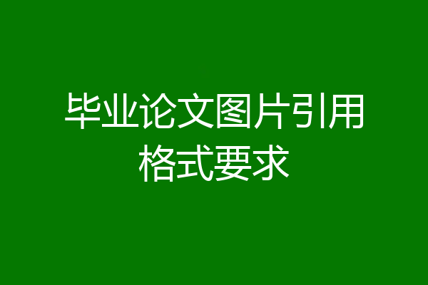 毕业论文图片引用格式要求