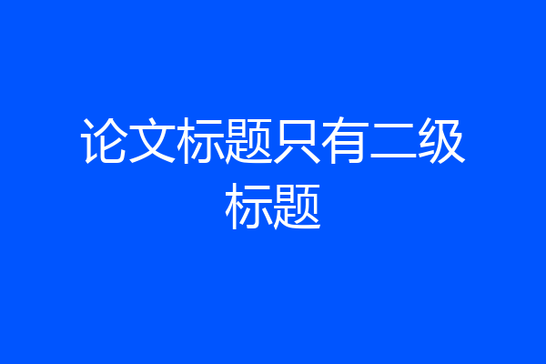 论文标题只有二级标题