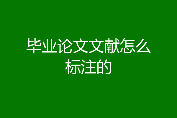毕业论文文献怎么标注的