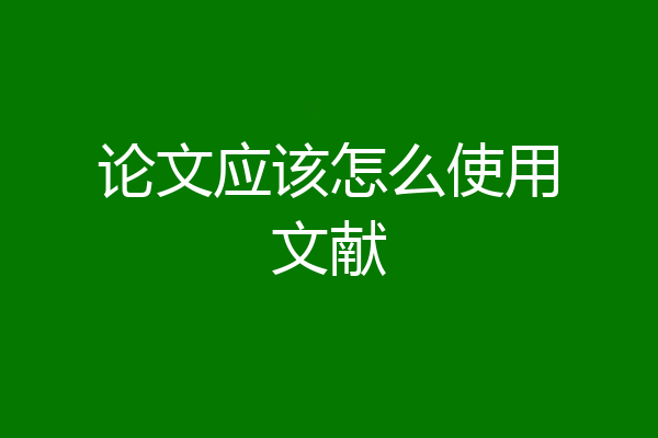 论文应该怎么使用文献