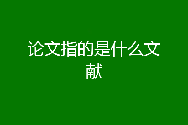论文指的是什么文献