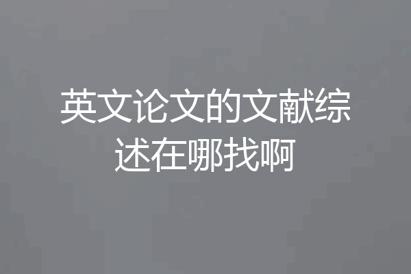 英文论文的文献综述在哪找啊