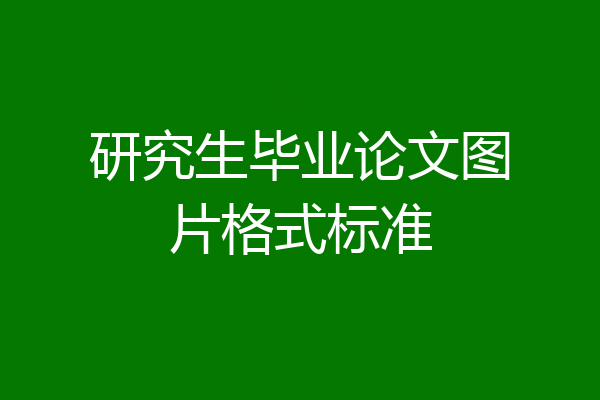 研究生毕业论文图片格式标准