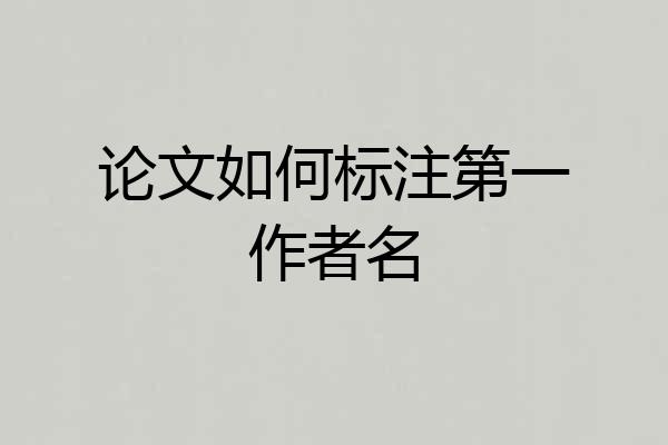 论文如何标注第一作者名
