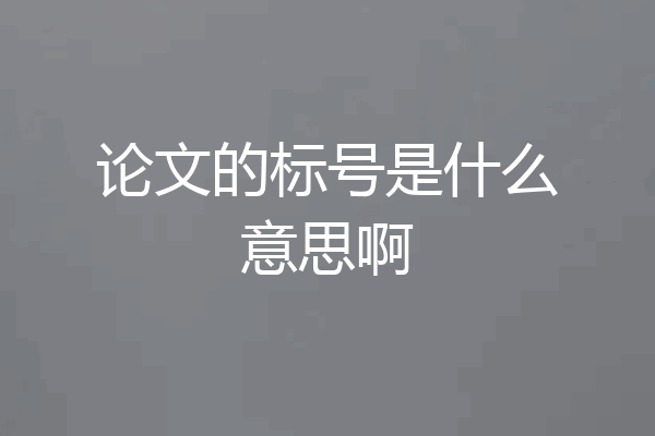 论文的标号是什么意思啊
