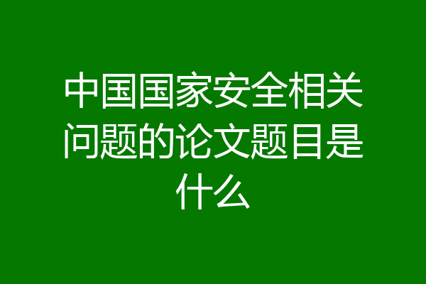 中国国家安全相关问题的论文题目是什么