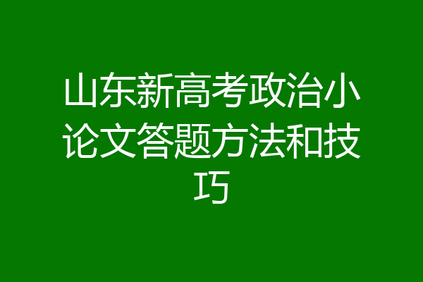 山东新高考政治小论文答题方法和技巧
