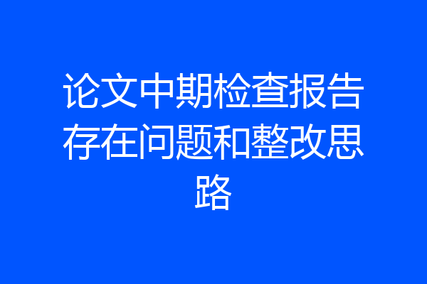 论文中期检查报告存在问题和整改思路