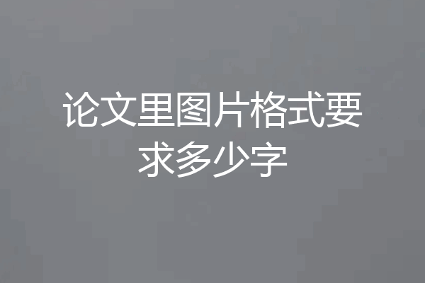 论文里图片格式要求多少字