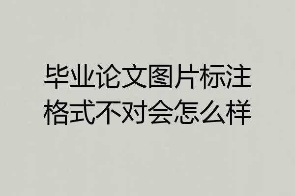 毕业论文图片标注格式不对会怎么样