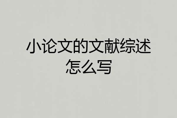 小论文的文献综述怎么写