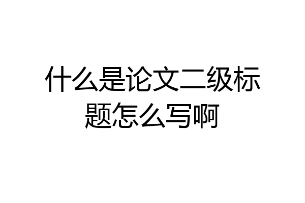 什么是论文二级标题怎么写啊