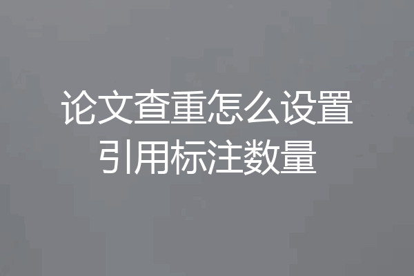 论文查重怎么设置引用标注数量