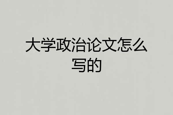 大学政治论文怎么写的