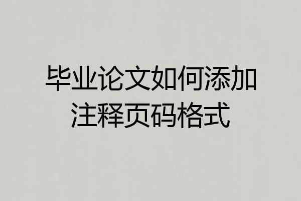 毕业论文如何添加注释页码格式