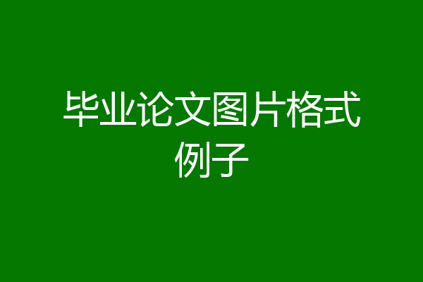 毕业论文图片格式例子