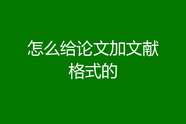 怎么给论文加文献格式的