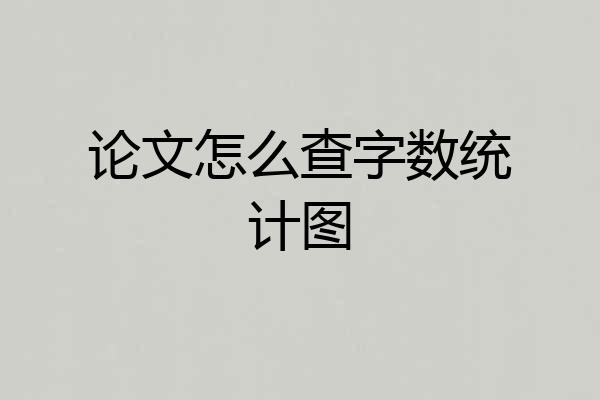 论文怎么查字数统计图