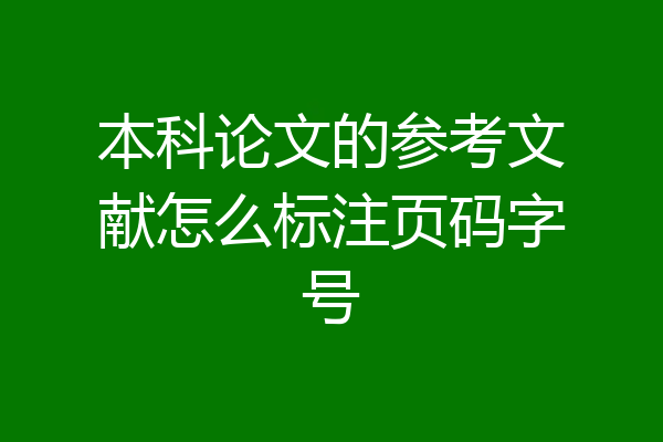 本科论文的参考文献怎么标注页码字号