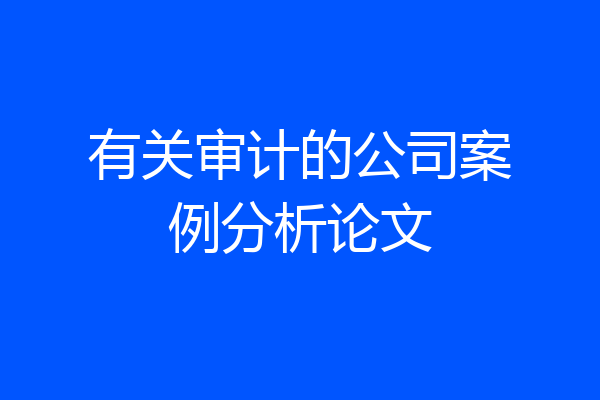 有关审计的公司案例分析论文