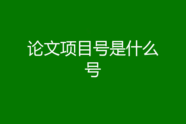 论文项目号是什么号