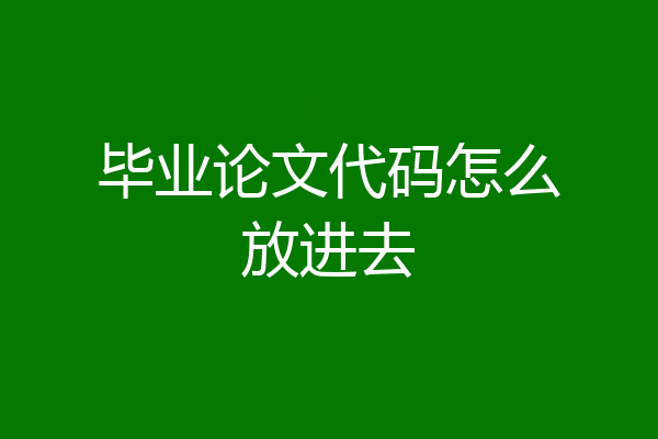 毕业论文代码怎么放进去