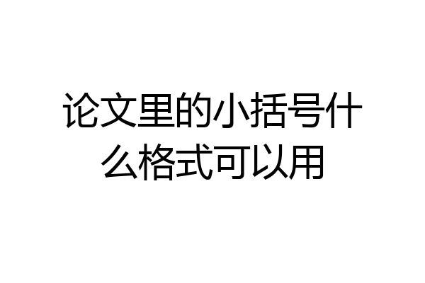 论文里的小括号什么格式可以用