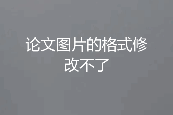 论文图片的格式修改不了