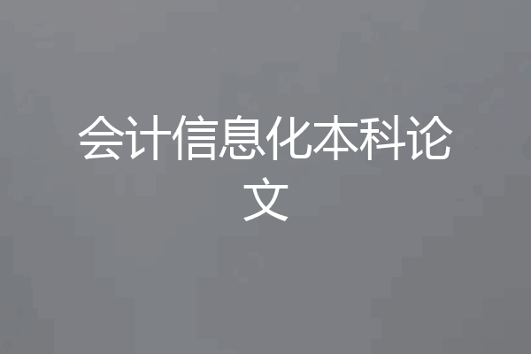 会计信息化本科论文