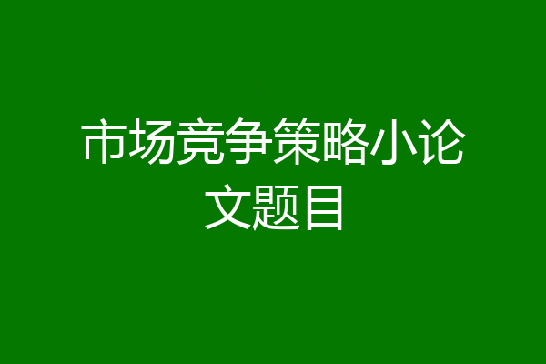 市场竞争策略小论文题目