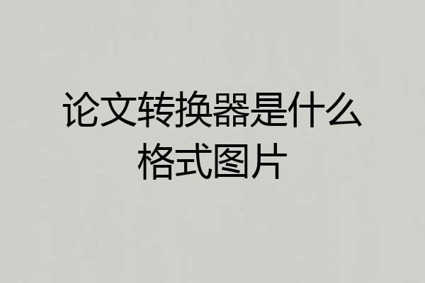 论文转换器是什么格式图片