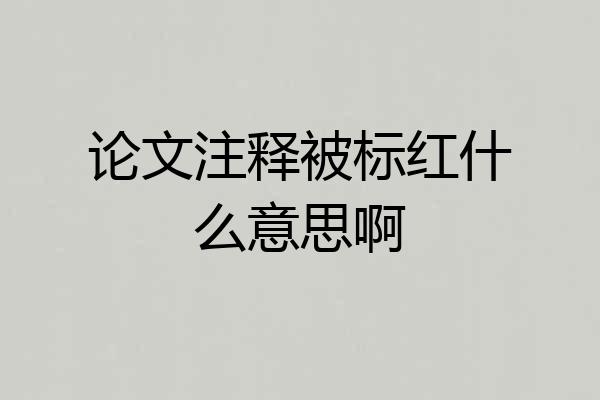 论文注释被标红什么意思啊