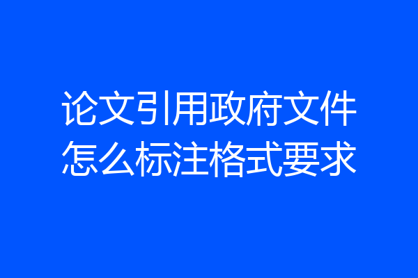 论文引用政府文件怎么标注格式要求