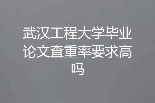武汉工程大学毕业论文查重率要求高吗
