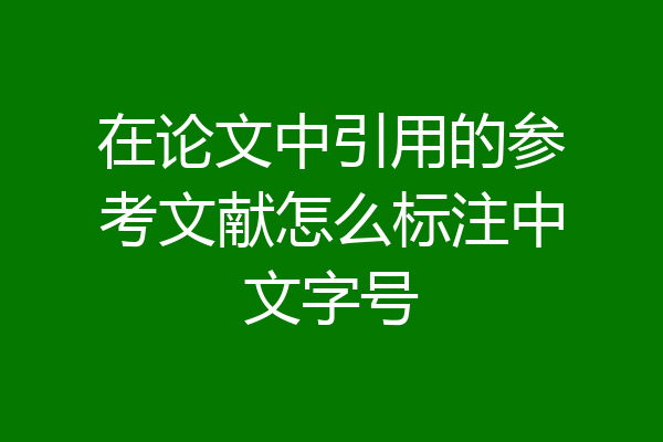 在论文中引用的参考文献怎么标注中文字号