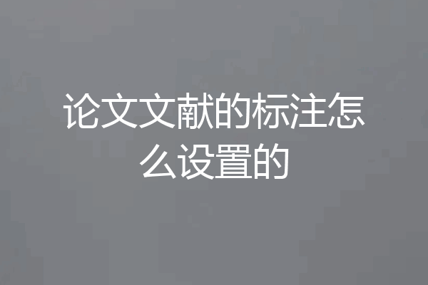 论文文献的标注怎么设置的
