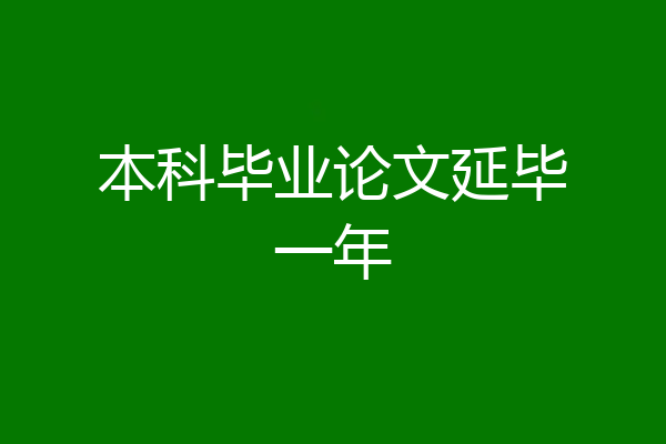 本科毕业论文延毕一年