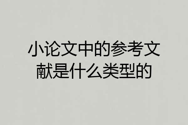 小论文中的参考文献是什么类型的
