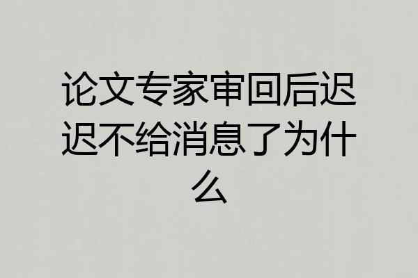 论文专家审回后迟迟不给消息了为什么