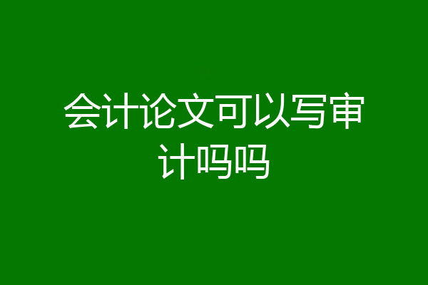 会计论文可以写审计吗吗