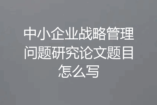 中小企业战略管理问题研究论文题目怎么写