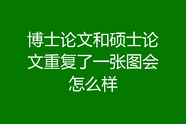 博士论文和硕士论文重复了一张图会怎么样