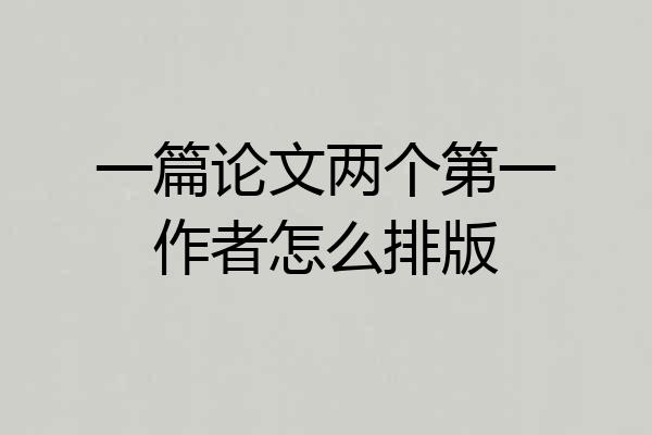 一篇论文两个第一作者怎么排版