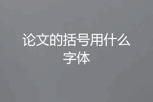 论文的括号用什么字体