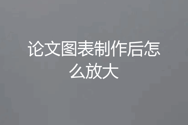 论文图表制作后怎么放大