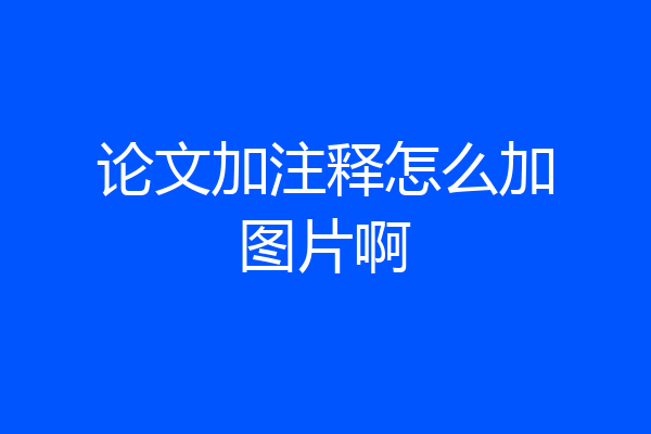 论文加注释怎么加图片啊