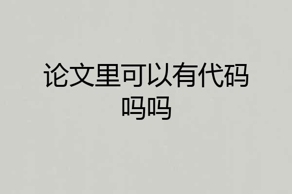 论文里可以有代码吗吗