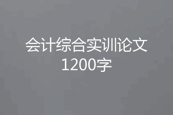 会计综合实训论文1200字