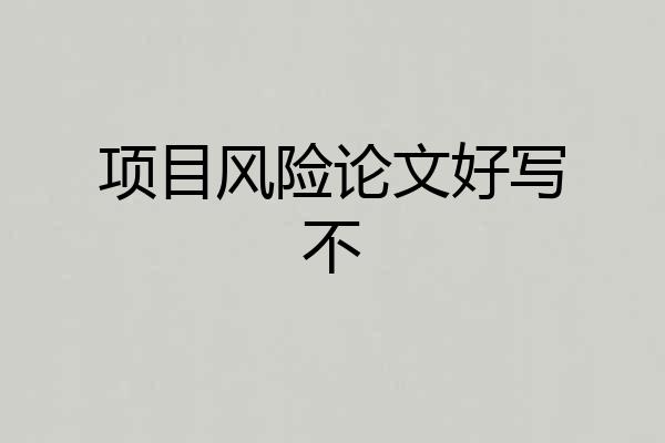 项目风险论文好写不