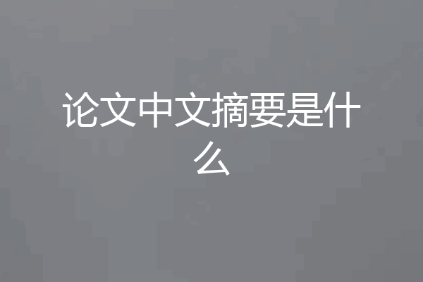 论文中文摘要是什么